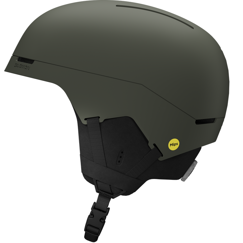 BRIGADE INDEX MIPS