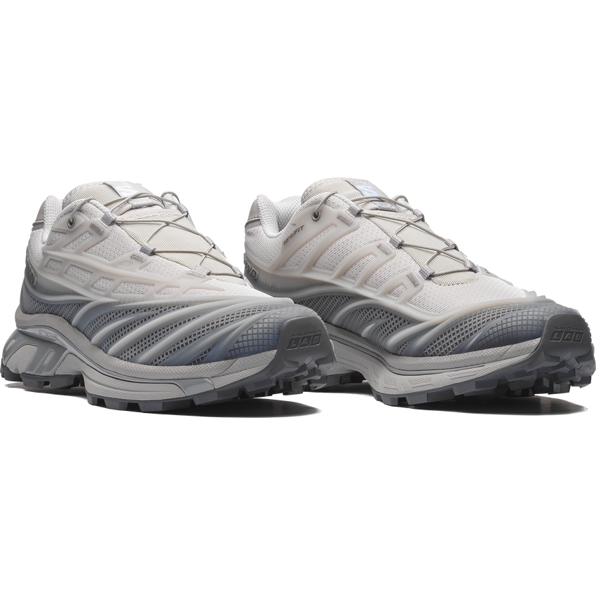 【NEW】XT-EVO
