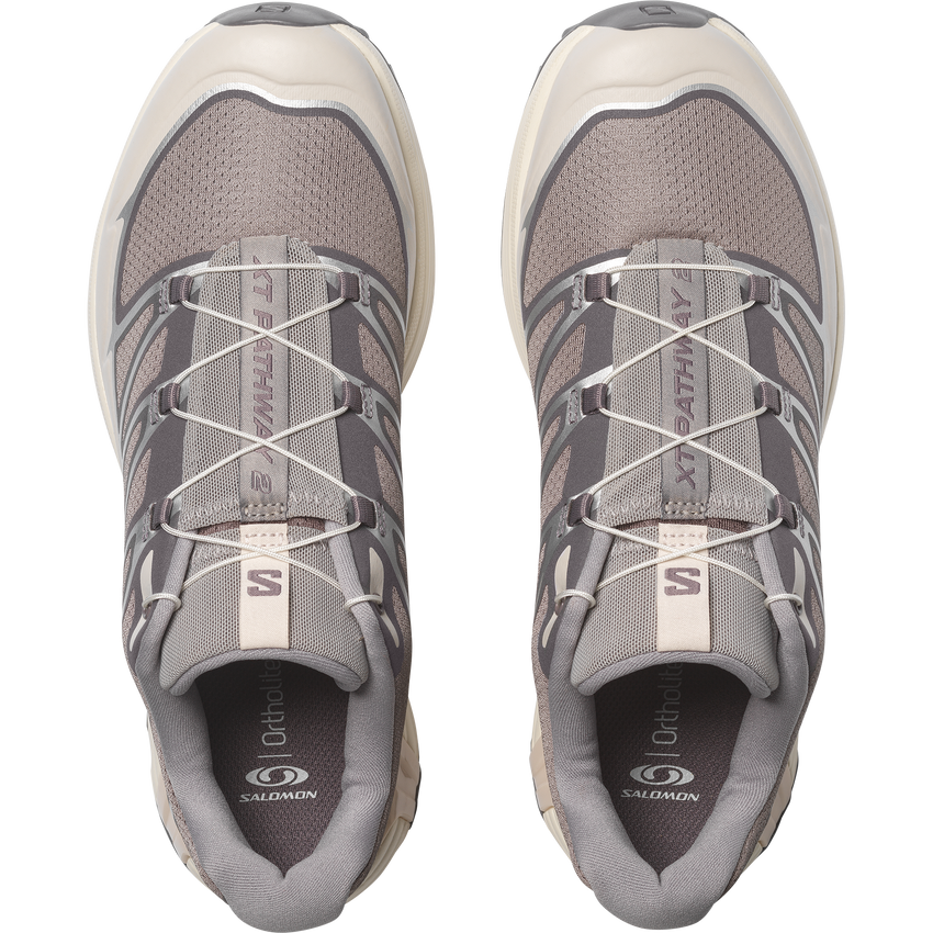 【NEW】XT-PATHWAY 2