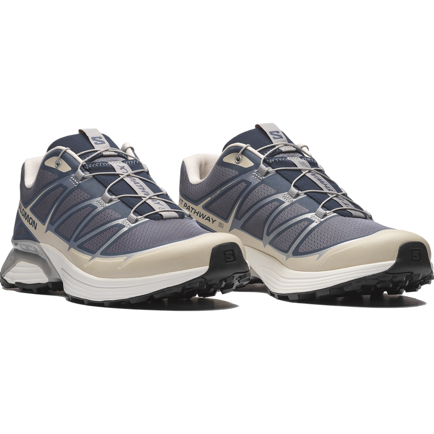 【NEW】XT-PATHWAY 2