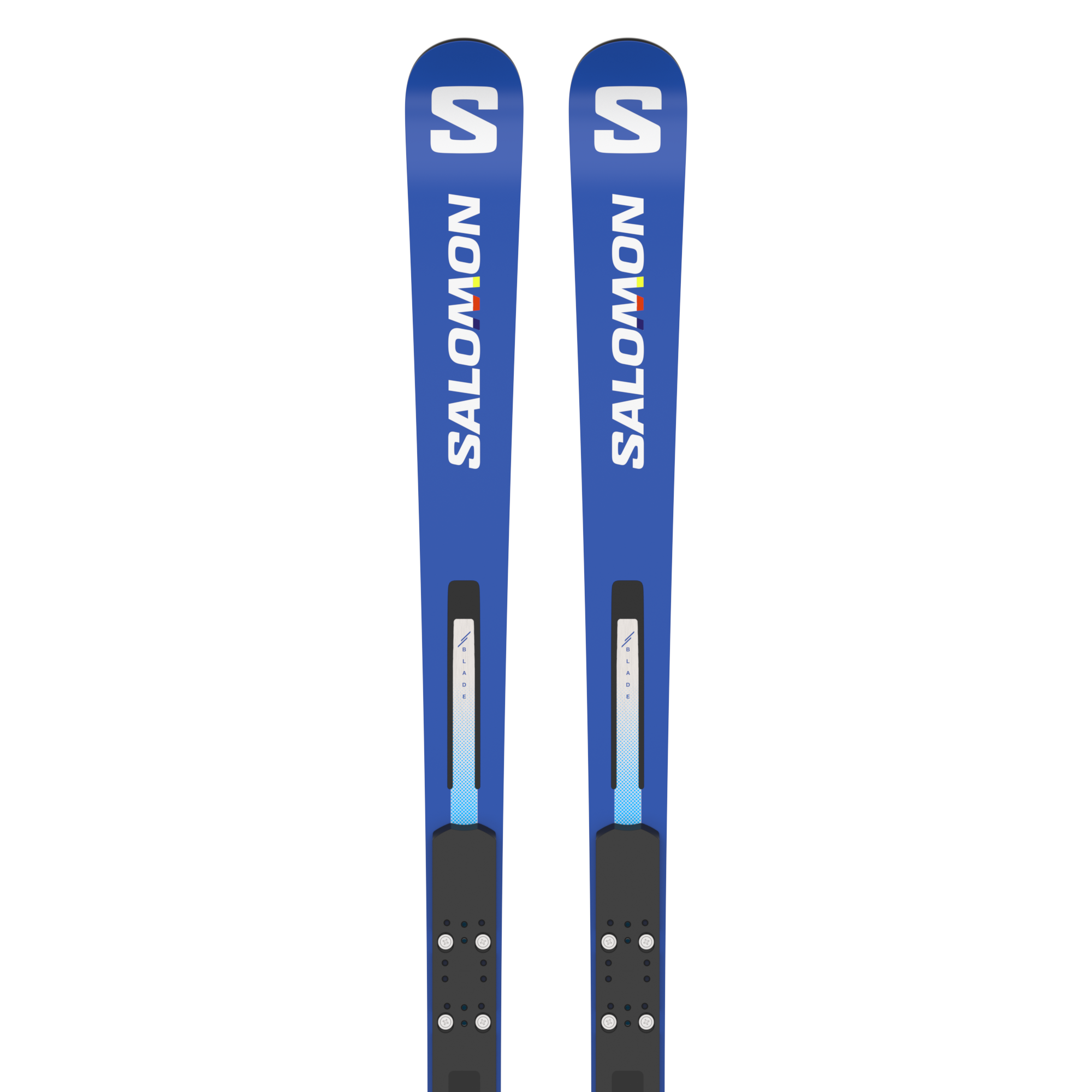 最終値下げSalomon ski GS 173cm R20ウィンタースポーツ