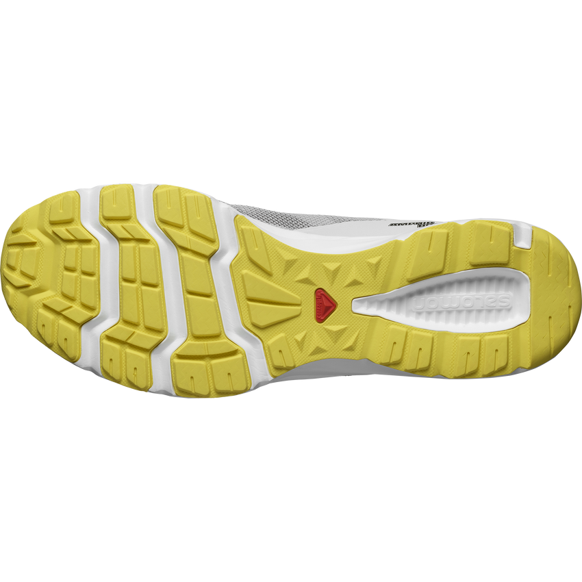 AMPHIB BOLD 2