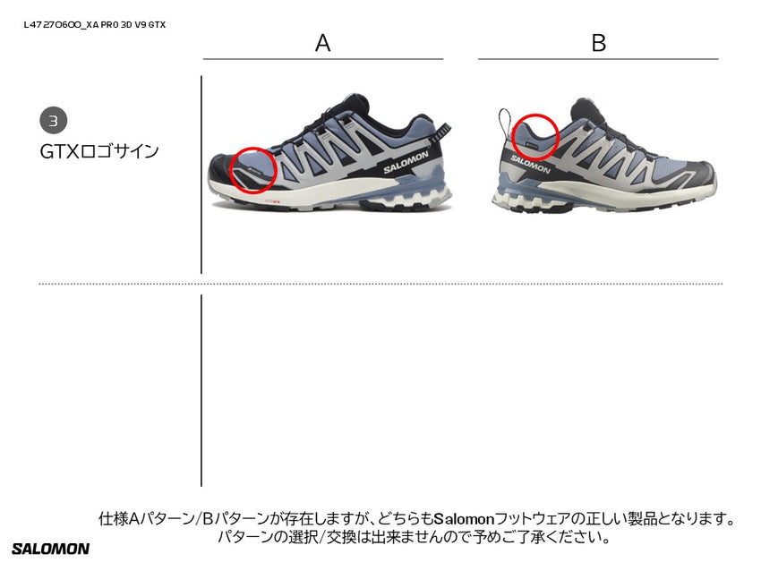XA PRO 3D V9 GORE-TEX