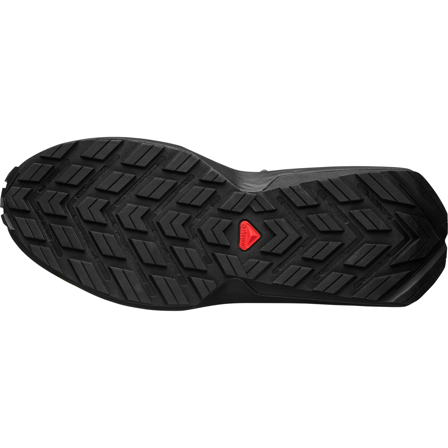 ODYSSEY ELMT LOW