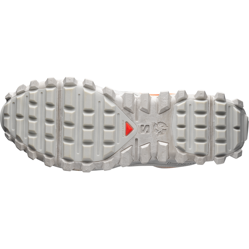 SNOWCLOG ARIES ARISE