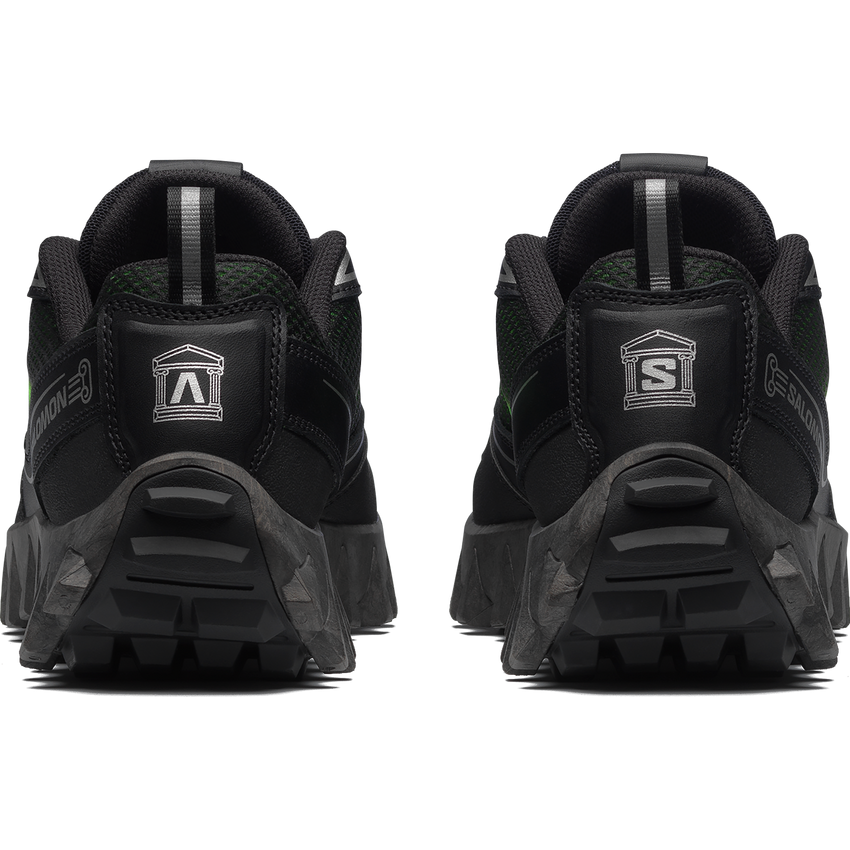 SNOWCLOG ARIES ARISE