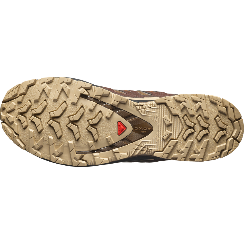 XA PRO 3D V9 GORE-TEX