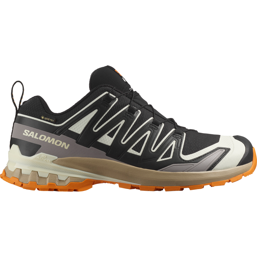 XA PRO 3D V9 GORE-TEX