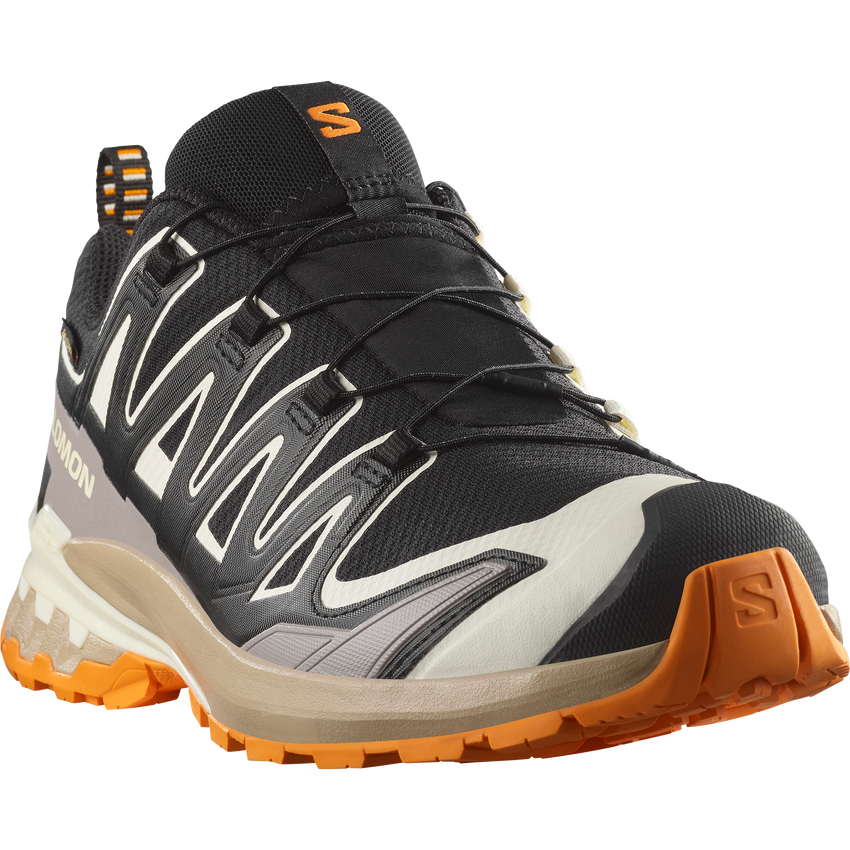 XA PRO 3D V9 GORE-TEX