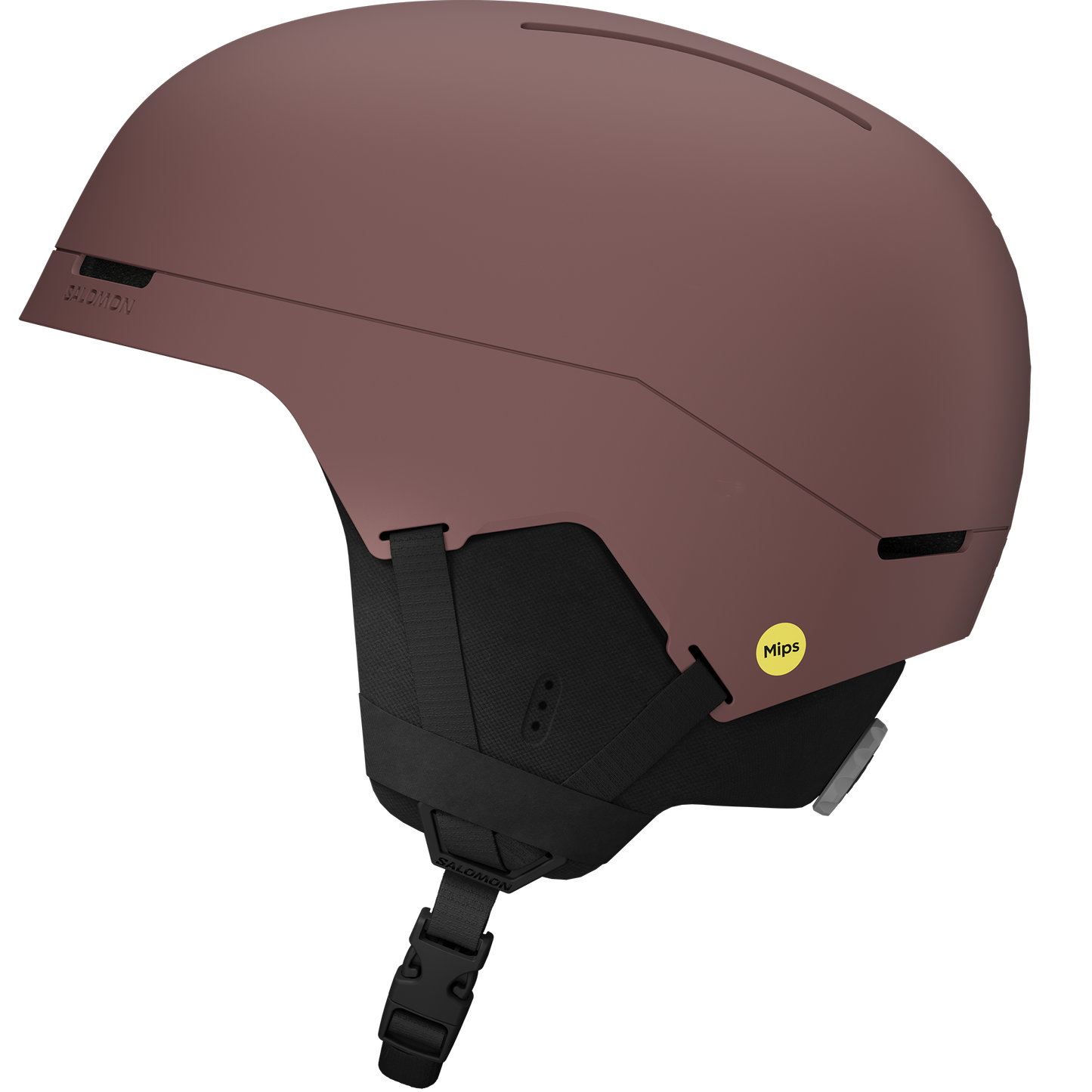 BRIGADE INDEX MIPS