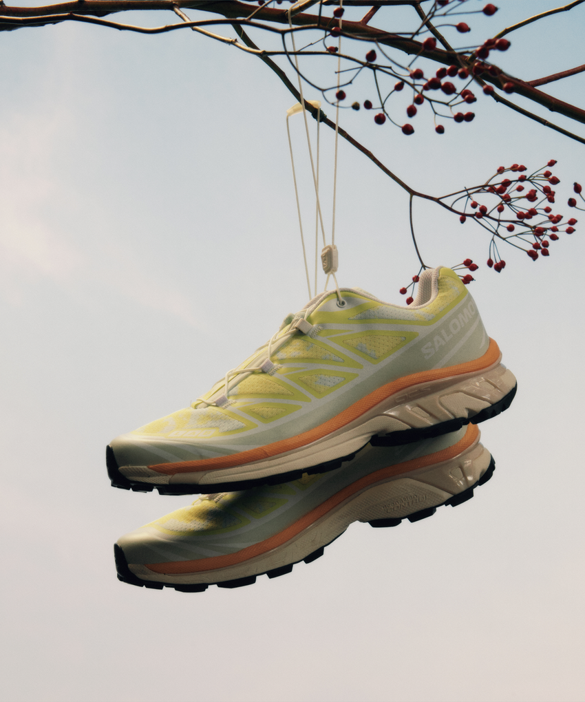 【NEW】XT-6 ALPEN BLOSSOM