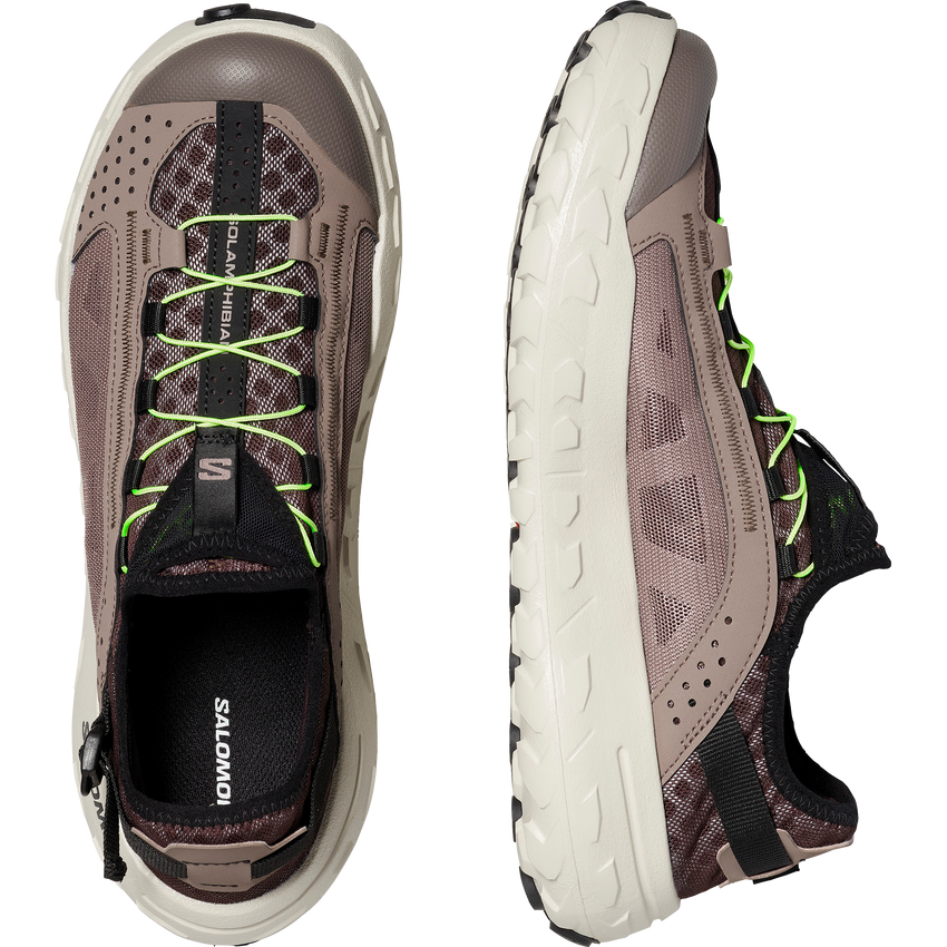 SOLAMPHIBIAN