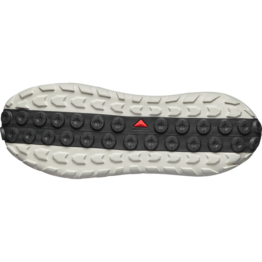 SOLAMPHIBIAN