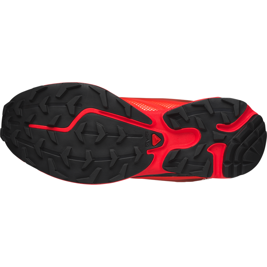 【NEW】XT-EVO