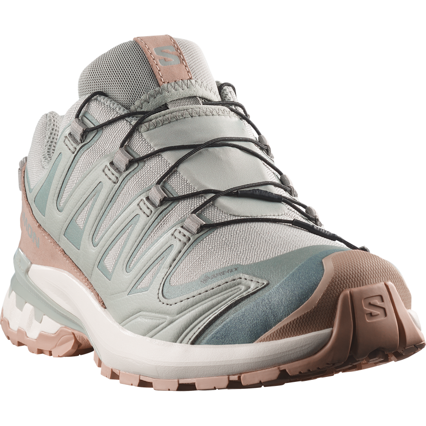 XA PRO 3D V9 GORE-TEX LIFELONG