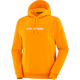 SALOMON LOGO PERFORMANCE