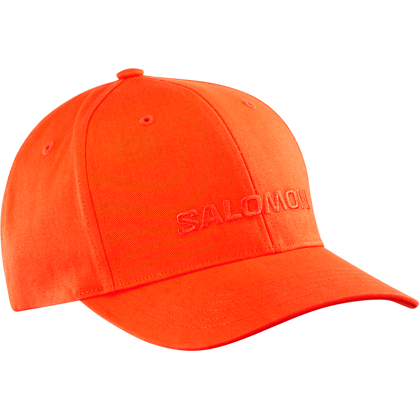 SALOMON LOGO