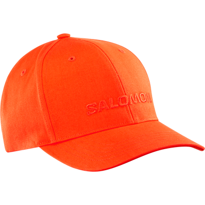 SALOMON LOGO