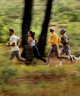 SHAKEout CORE
