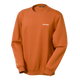 SALOMON LOGO