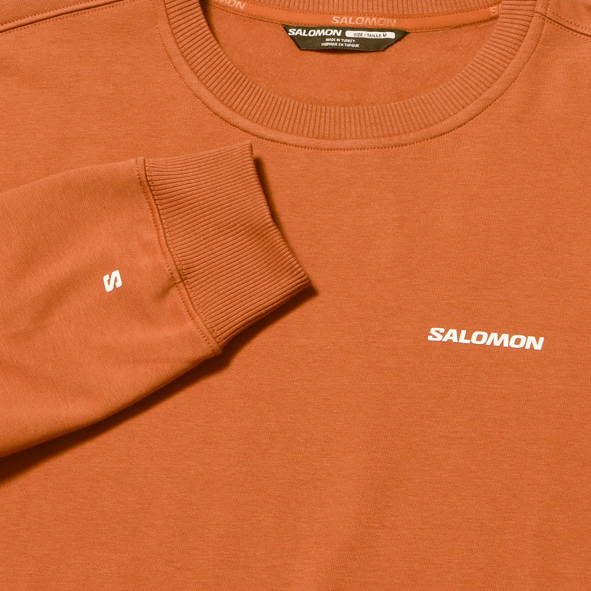 SALOMON LOGO