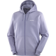 SALOMON LOGO