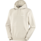 SALOMON LOGO