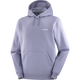 SALOMON LOGO
