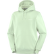 SALOMON LOGO