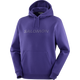 SALOMON BIG LOGO
