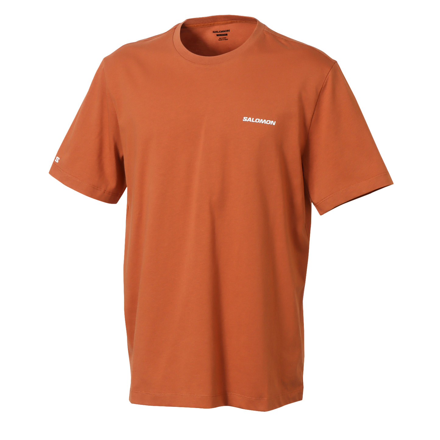 SALOMON LOGO