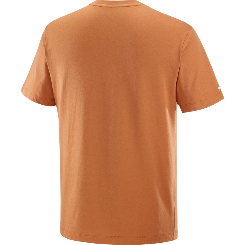 SALOMON LOGO