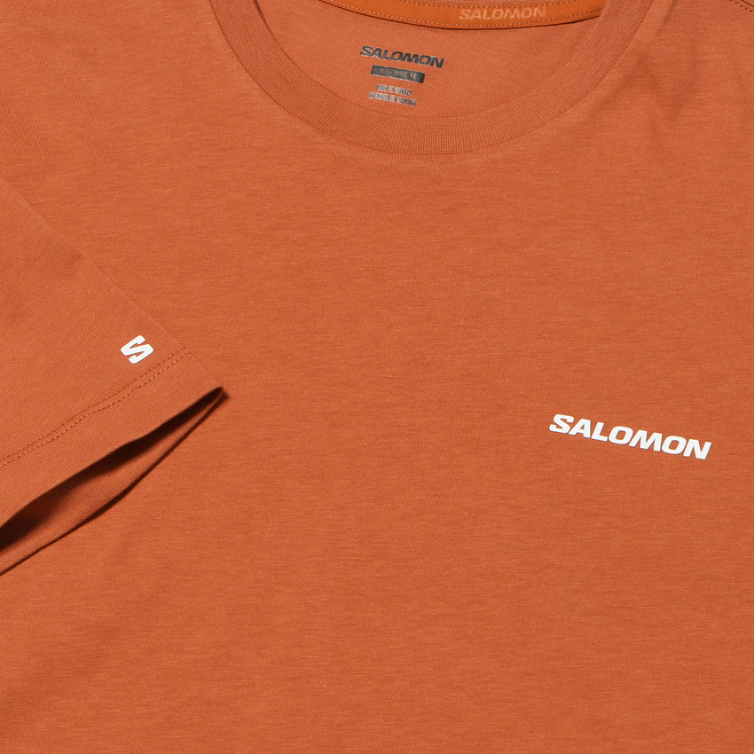 SALOMON LOGO