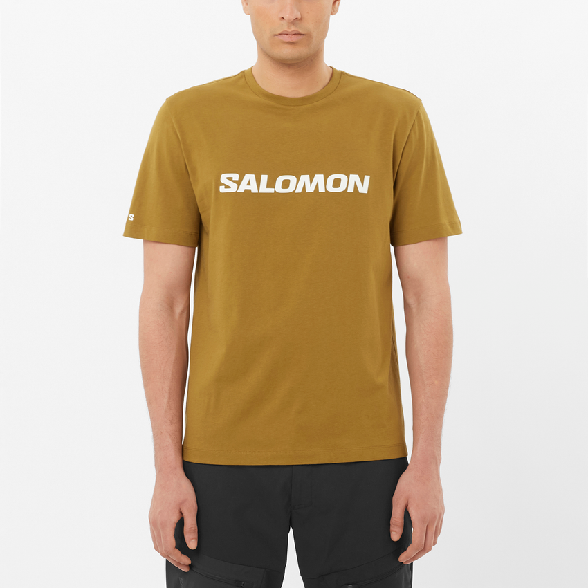 SALOMON LOGO