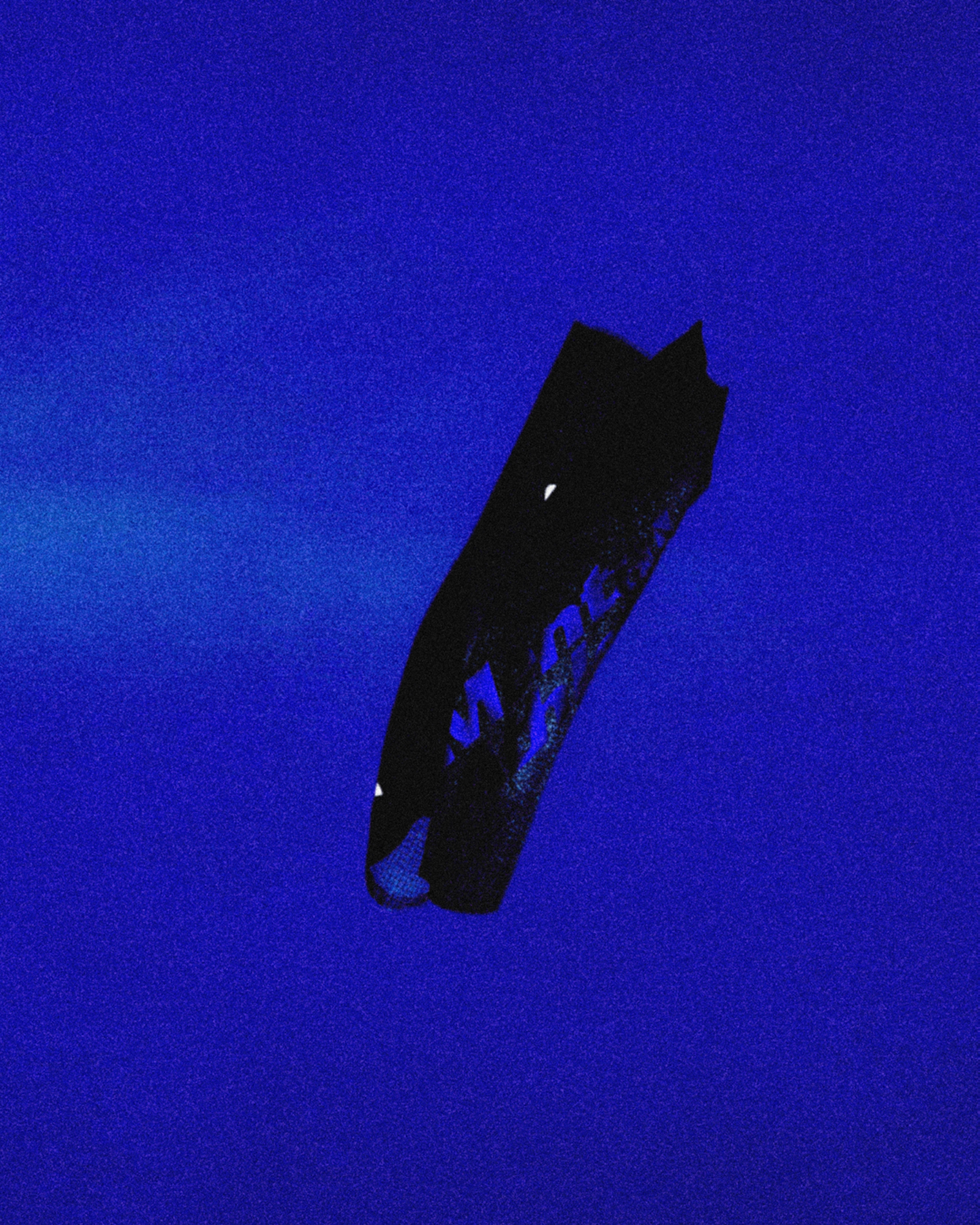 SALOMON SLEEVES MENTAL ATHLETIC