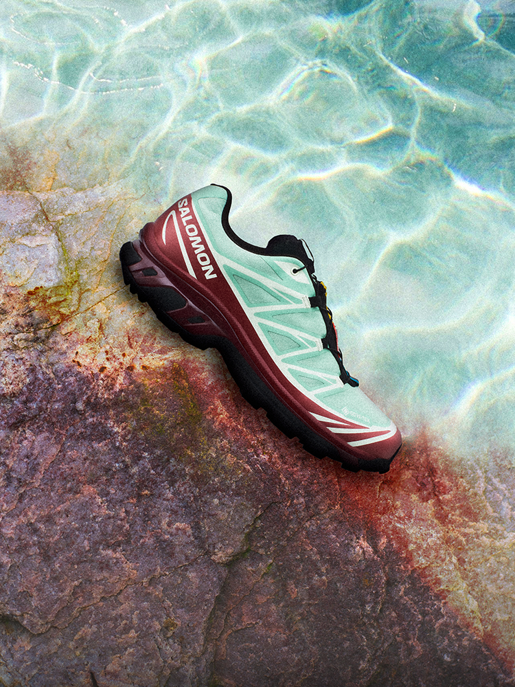 サロモン メンズ シューズ スニーカー Salomon ACS Pro GoreTex