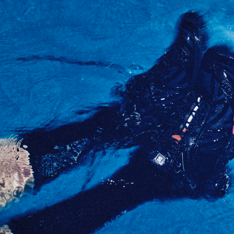 【NEW】XT-WHISPER ARIES ARISE