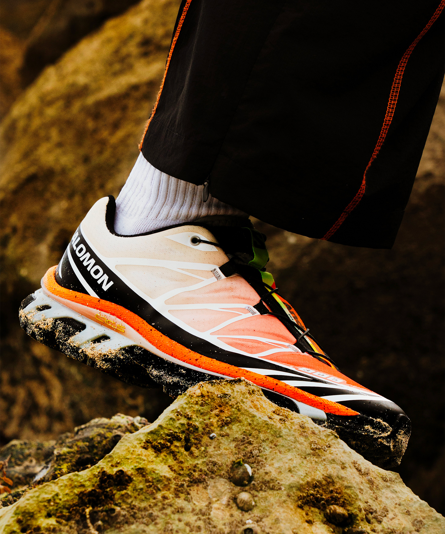 【NEW】XT-6 ANDREW