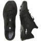 AMPHIB BOLD 2