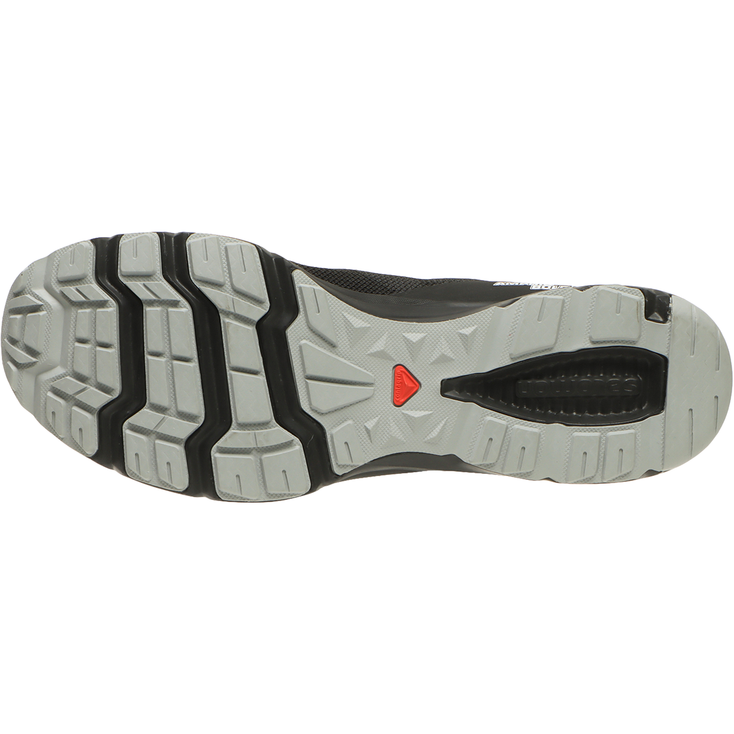 AMPHIB BOLD 2