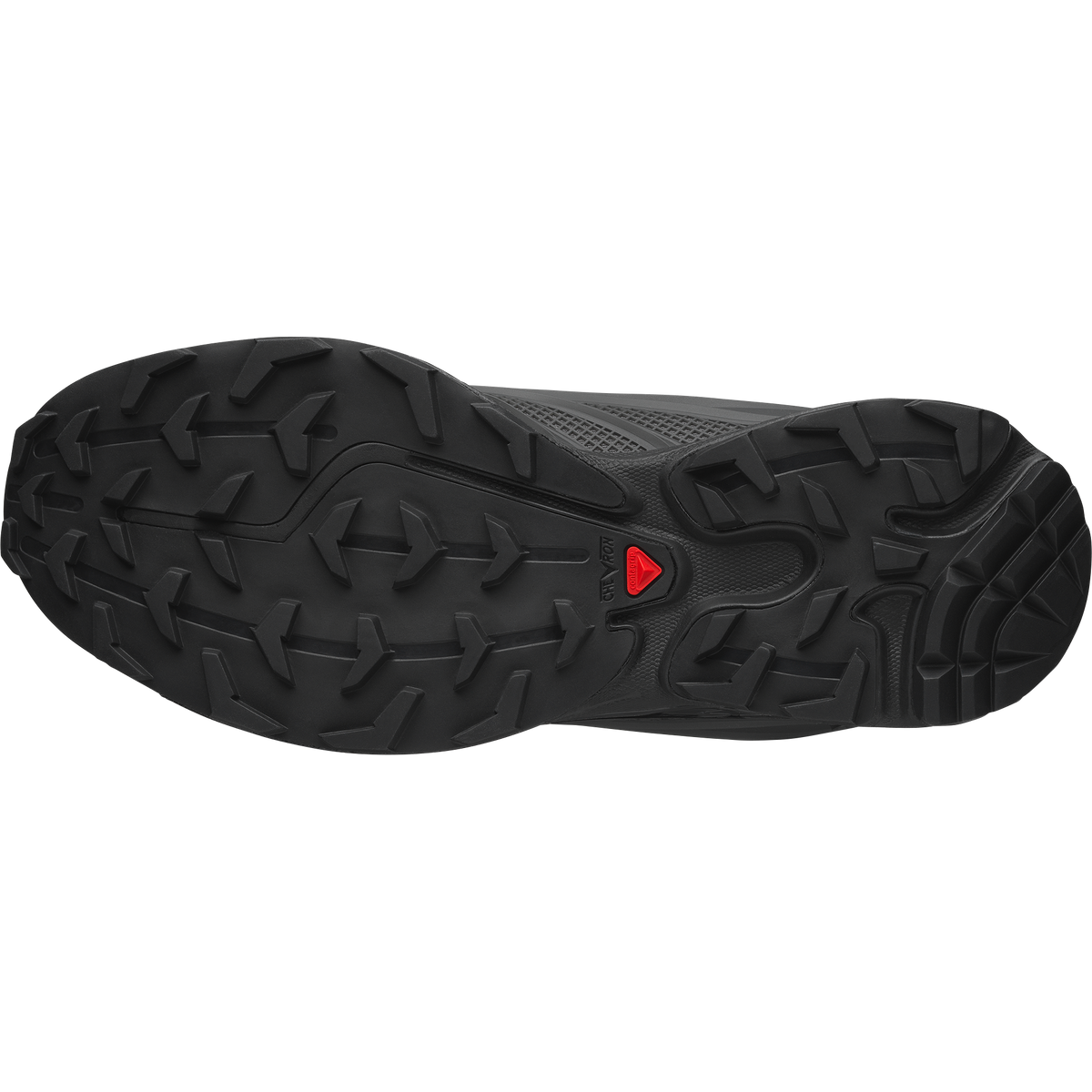 【NEW】XT-EVO
