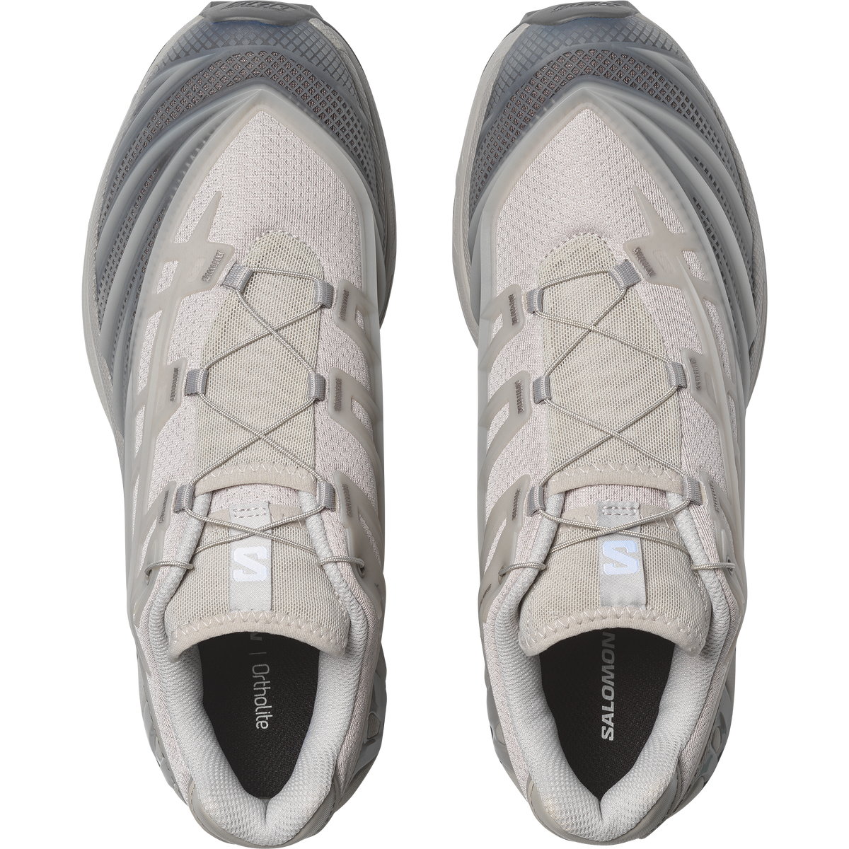 【NEW】XT-EVO
