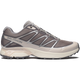 【NEW】XT-PATHWAY 2