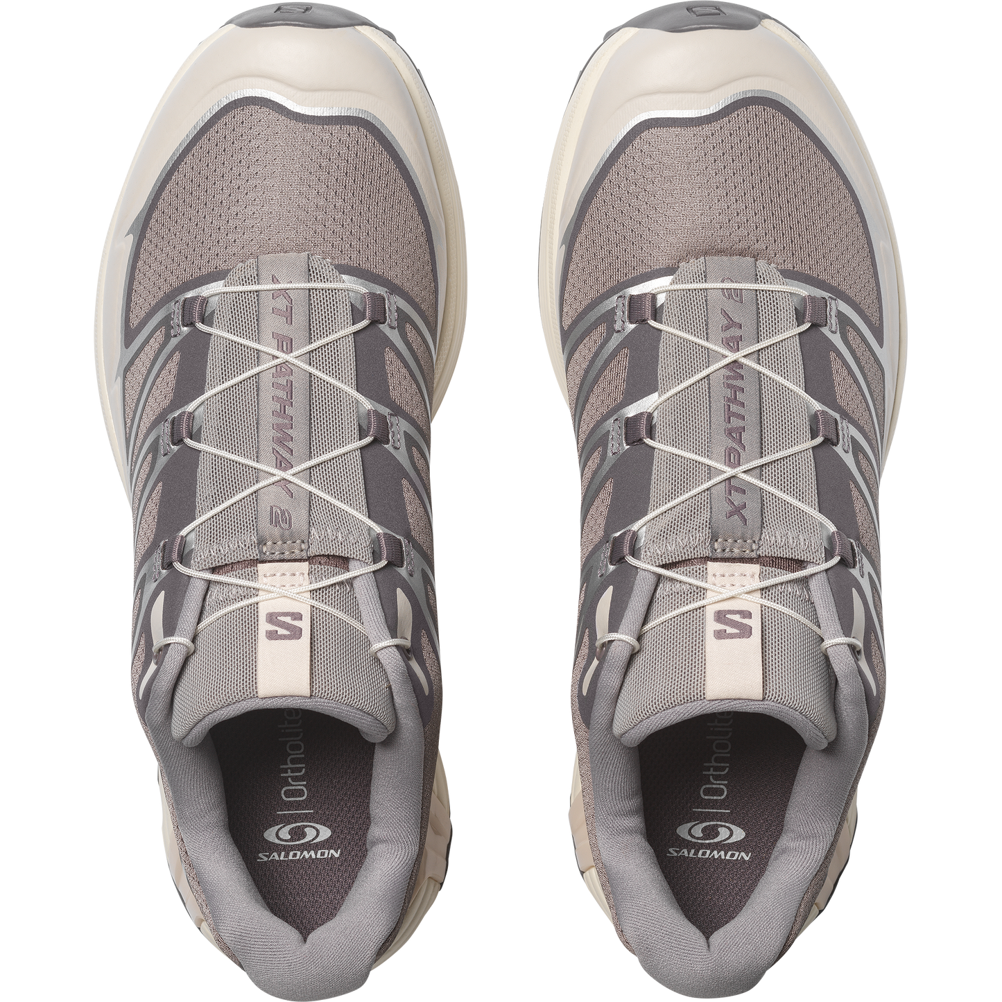 【NEW】XT-PATHWAY 2