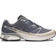 【NEW】XT-PATHWAY 2