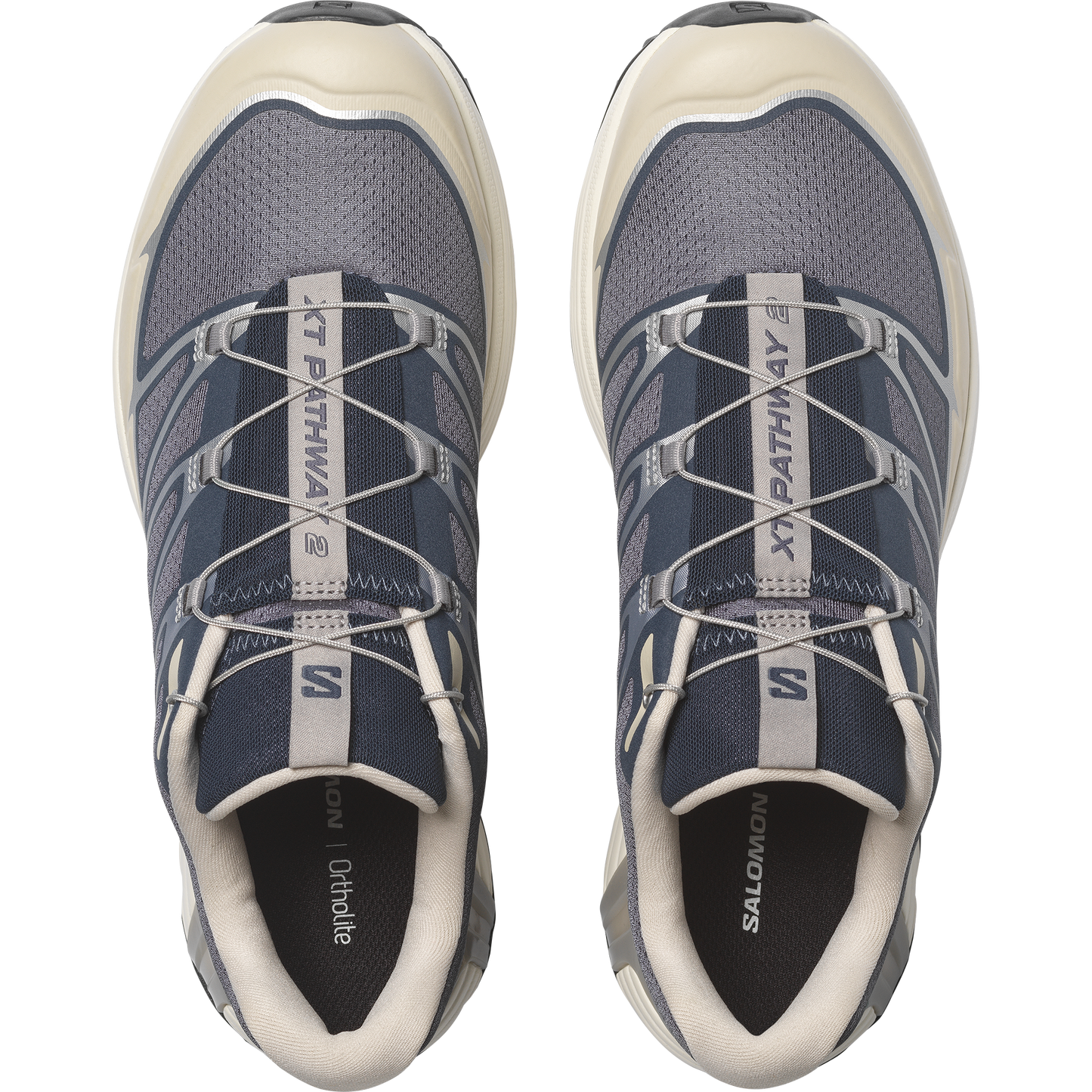 【NEW】XT-PATHWAY 2