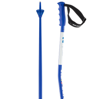 S/RACE GS