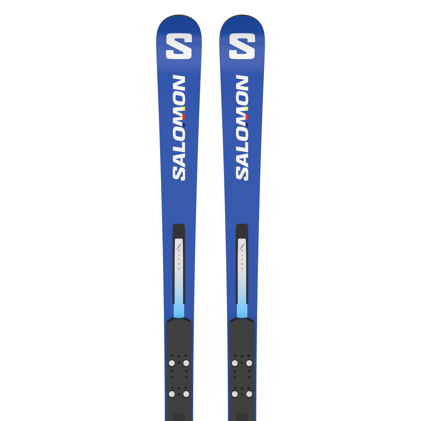 Salomon ski 173cm R20m GS - スキー