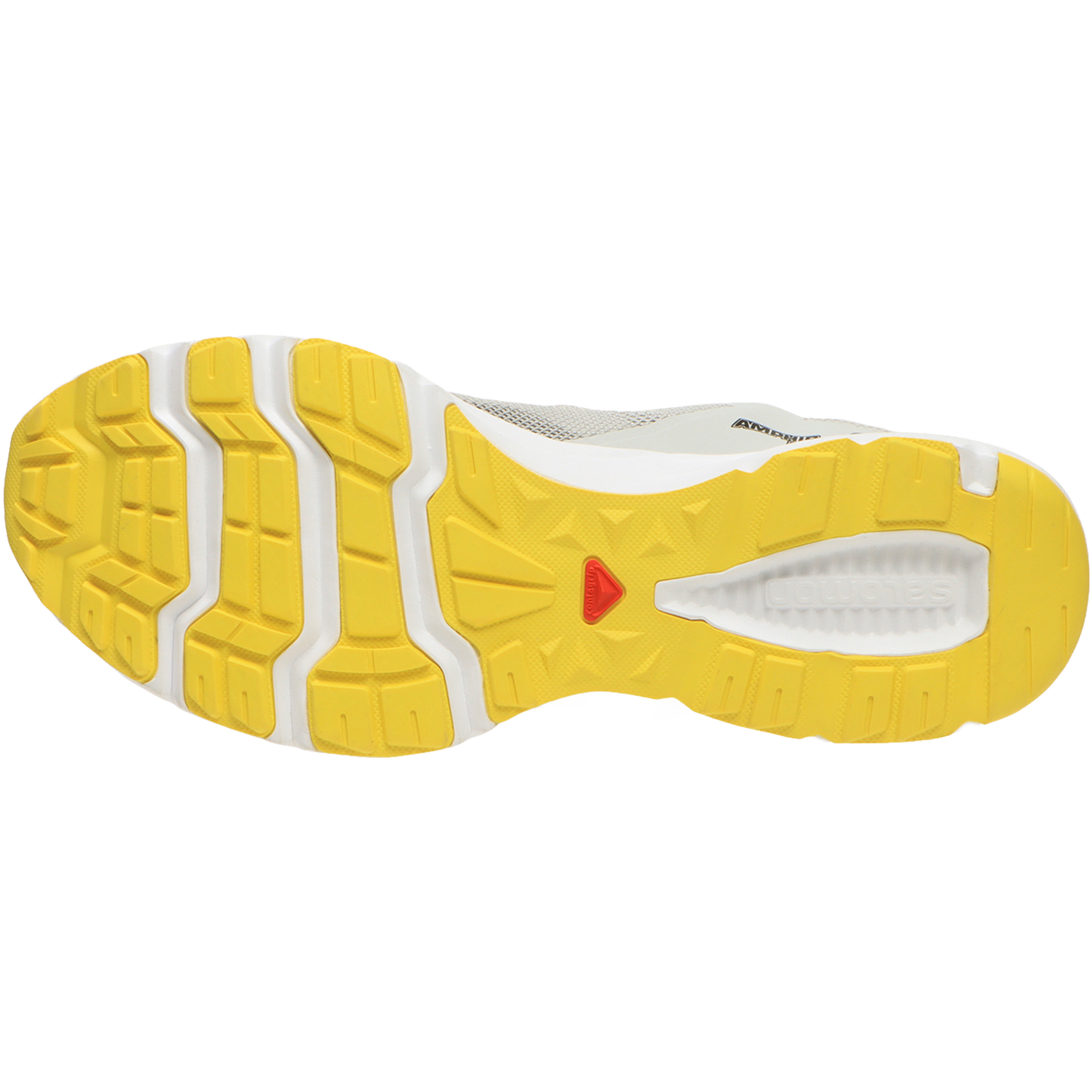 AMPHIB BOLD 2