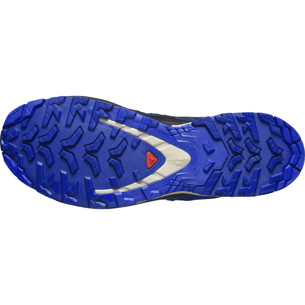 XA PRO 3D V9 GORE-TEX